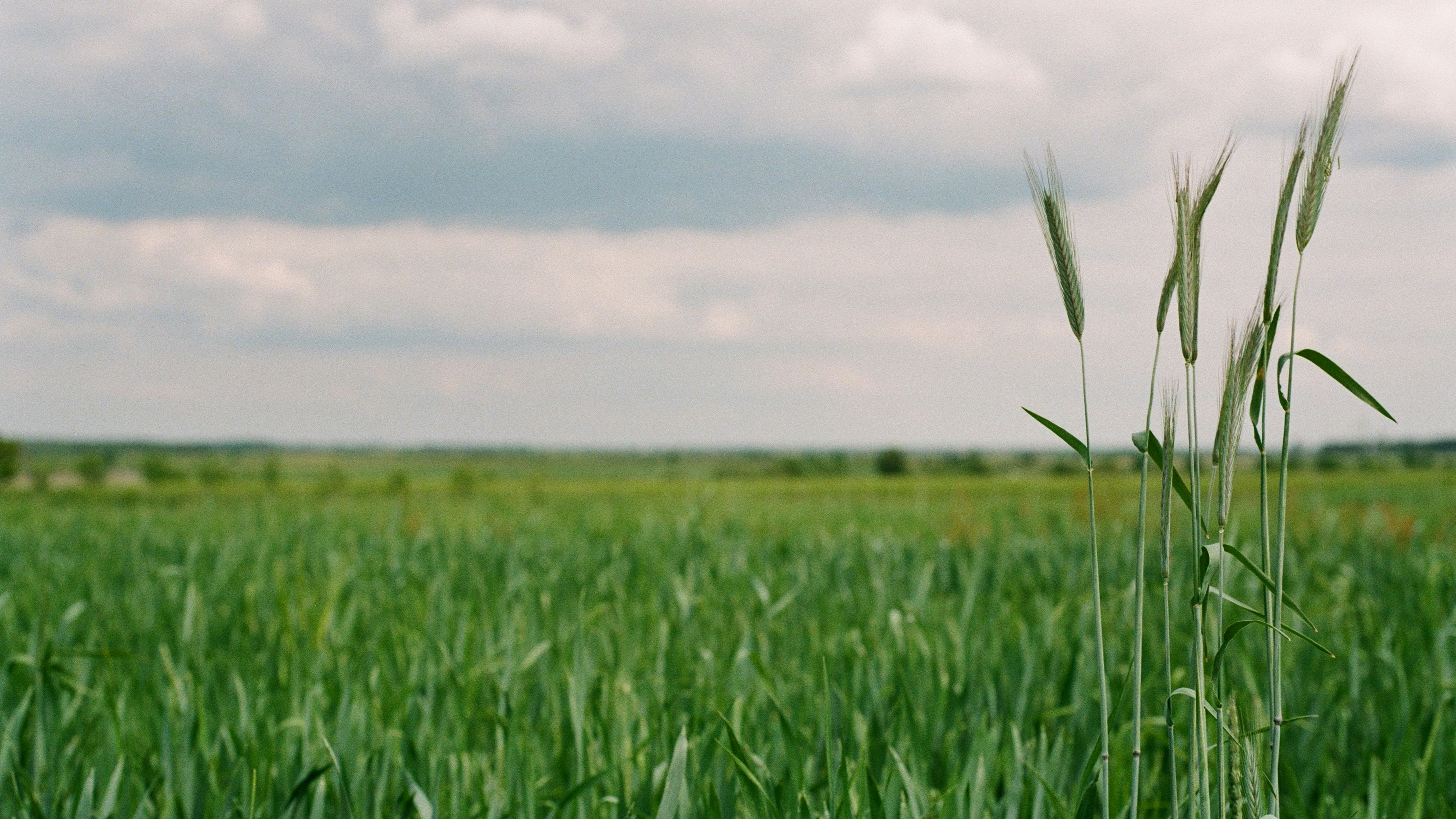 Agro-Processing Image